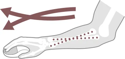 Jak myszka pionowa wspomaga naturalna pozycje dłoni